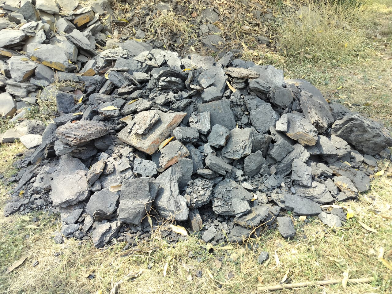 IMG-20250301-WA0027
