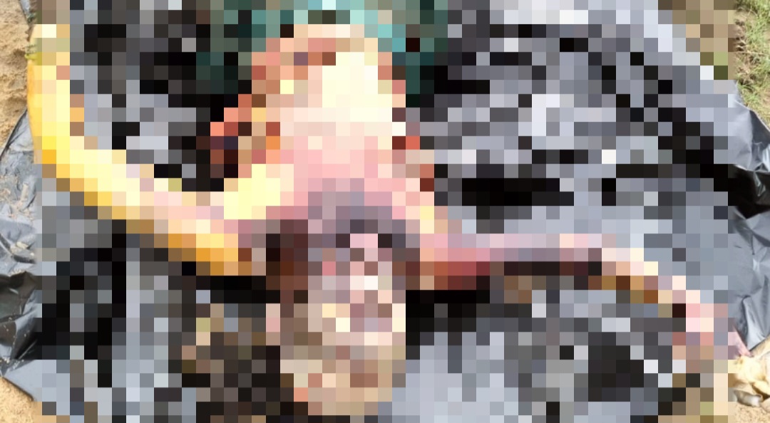 Screenshot_20250720_194300_InShot.jpg