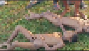 Screenshot_20250826_215958_InShot