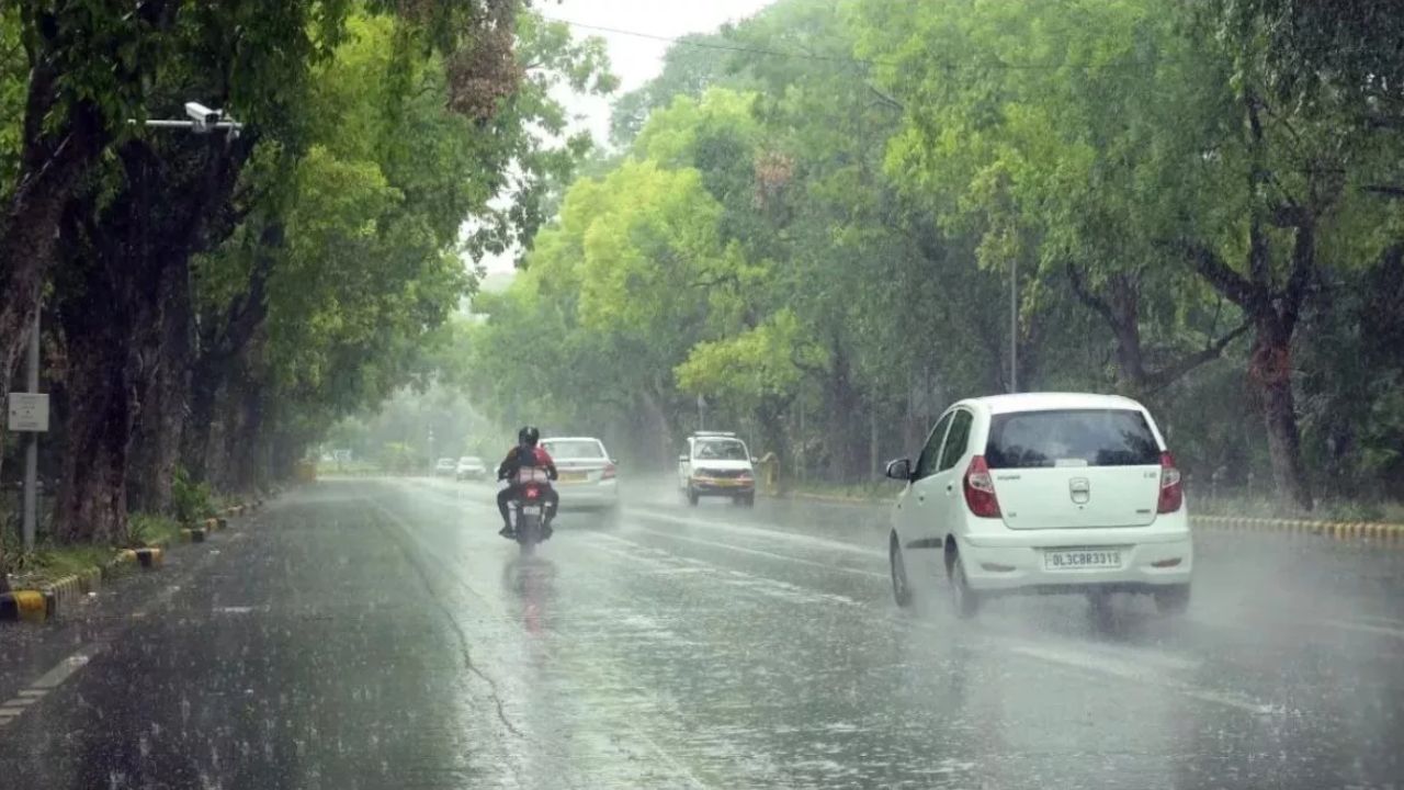 rain-