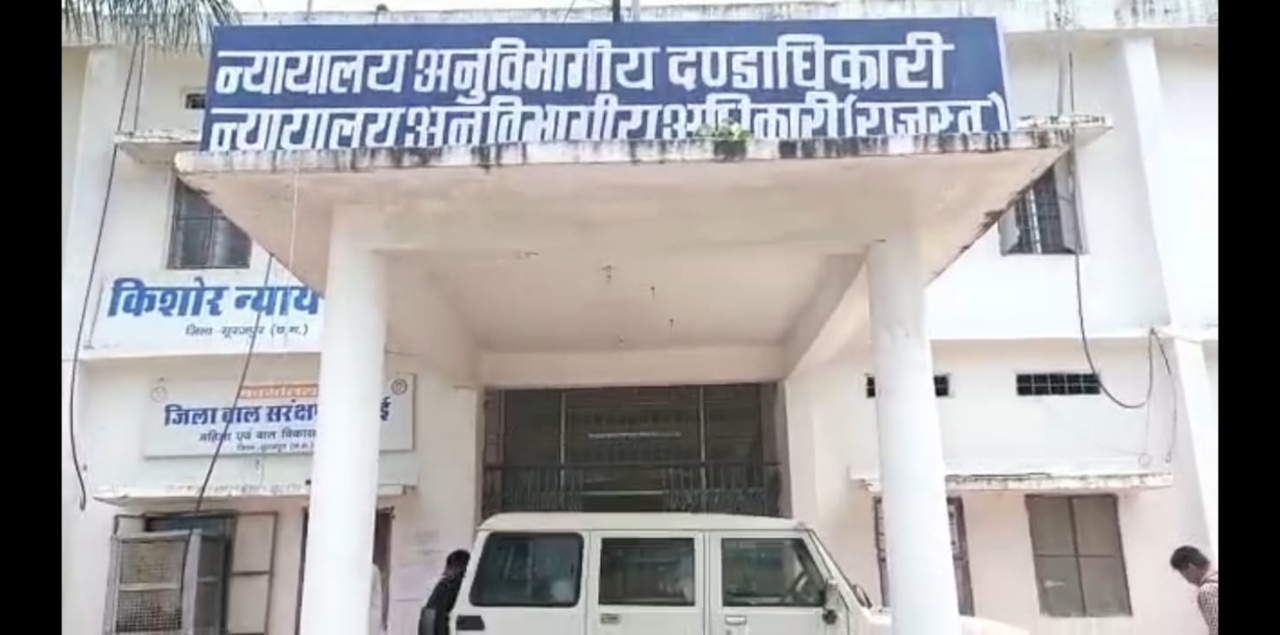 सरगुजा-संभाग-में-खुलेआम-लकड़ी-तस्करी
